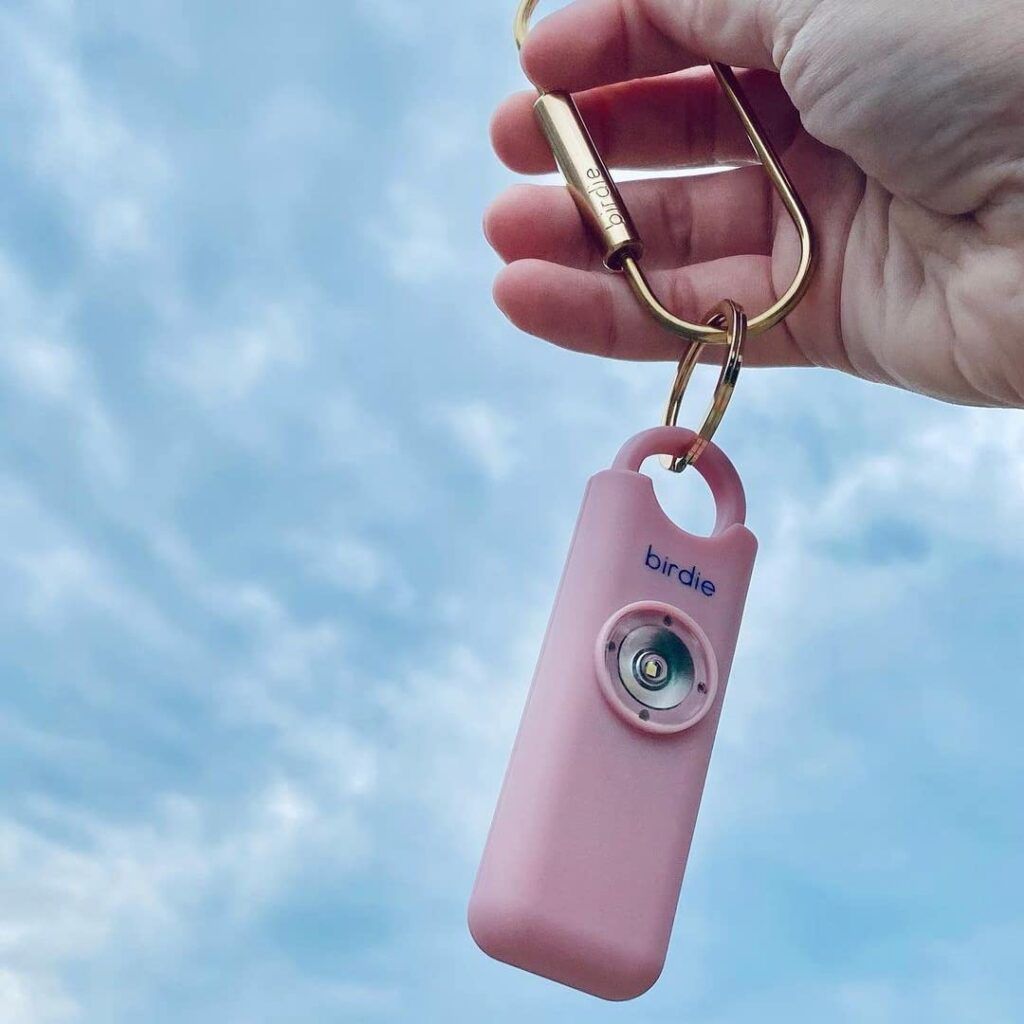 Be Ready! Security Devices for EVERY DANGER RVers Face